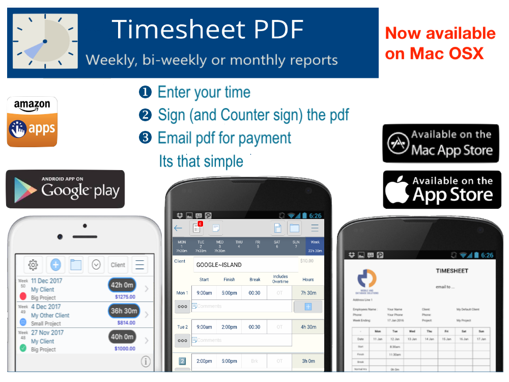 Timesheet PDF